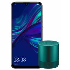 P SMART 2019